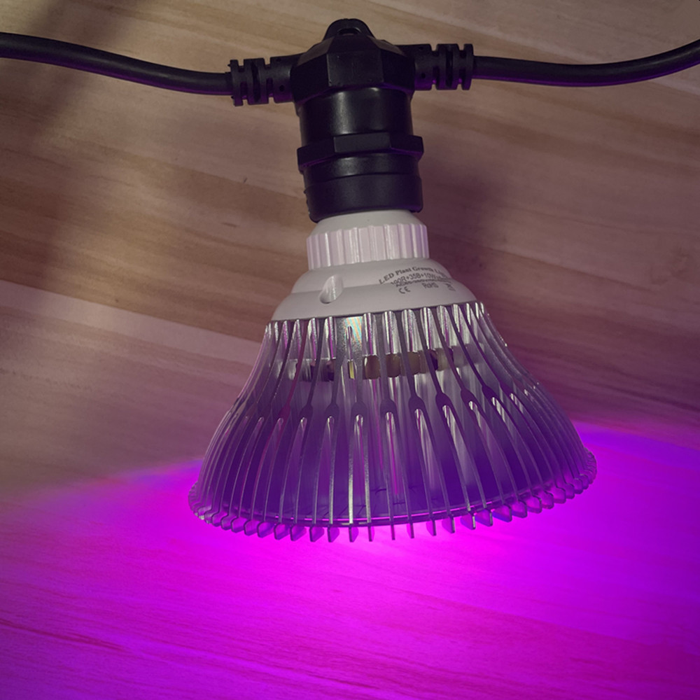 10 メートルケーブル LED ストリング商用グレード防水  - Outdoor Power Outlet のレビューと価格